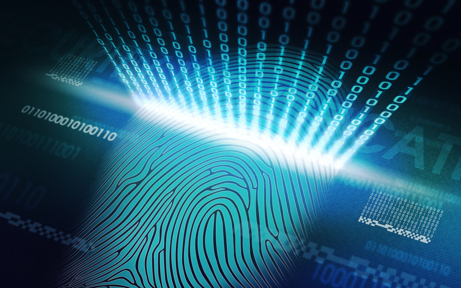 Humans have unique brain 'fingerprints,' scientists confirm