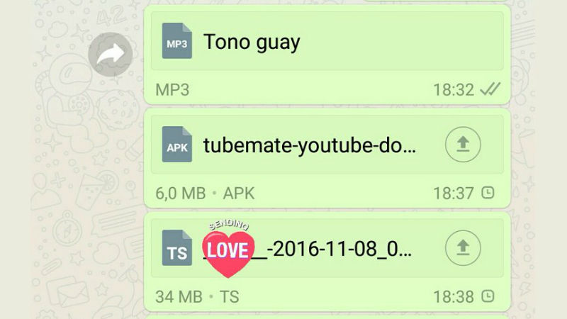 WhatsApp Starts Allowing Sharing of All File Types on Android, iPhone, Windows Phone: Reports