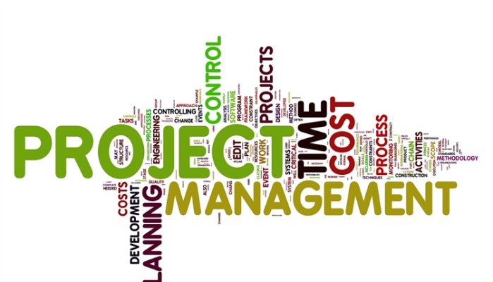 Simple Ways to Minimize your Risk on Next Project