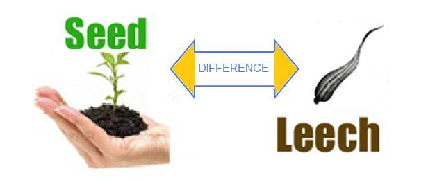 What Are Seeders and Leechers?