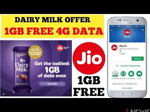dairy milk